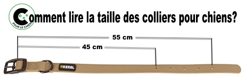 lire la taille des colliers