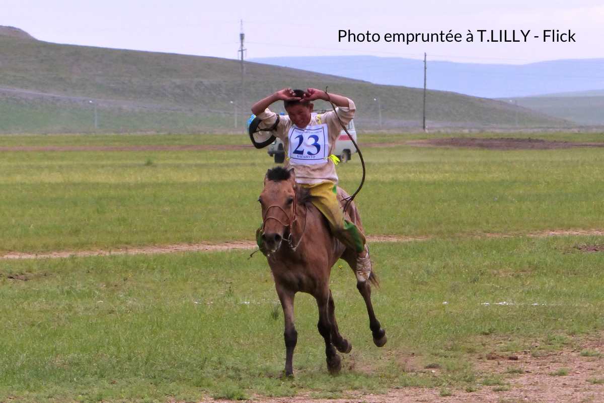 course traditionnelle mongole