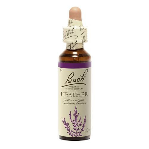 Heather -  Fleurs de Bach n°14