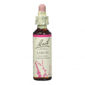 Larch -  Fleurs de Bach n°19