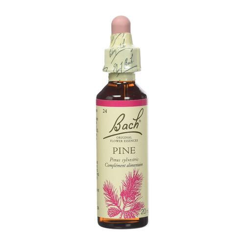 Fleur de Bach Cherry Plum pour la Tranquillité d'Esprit