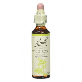 Wild Rose -  Fleurs de Bach n°37