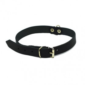 collier cuir chien pas cher