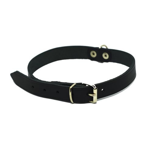 collier cuir chien pas cher