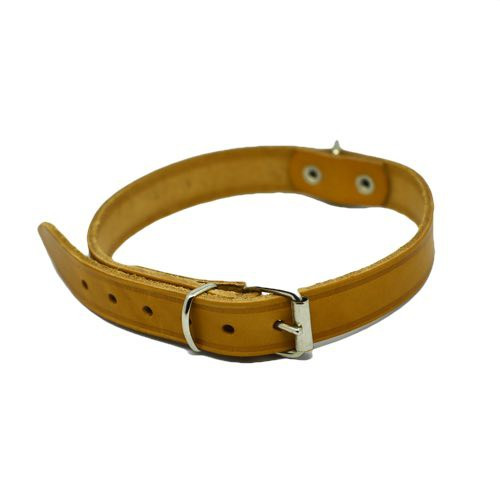 collier cuir pour chien