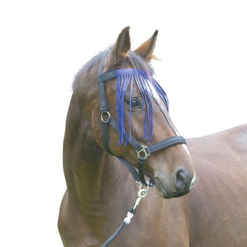 Chasse Mouche à Franges poney bleu
