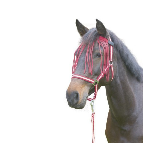 Comment choisir un anti mouche pour son cheval ?