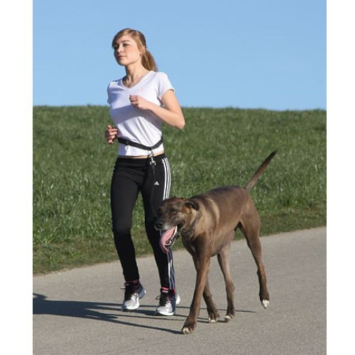 Ceinture pour courir avec son chien