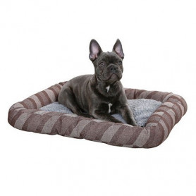 Coussin pour chien