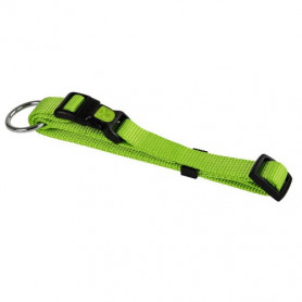 collier vert pour chien solide