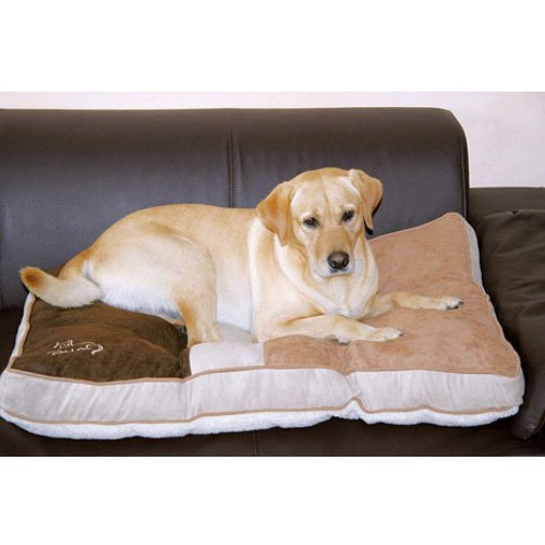 coussin pour chien