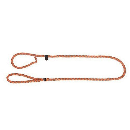 Supet Laisse Dressage Chien Collier Laisse Chien Laisse Lasso Laisse en  Cuire Laisse Educative Sangle pour Chien 2 en 1 Collier et Laisse Rouge :  : Animalerie