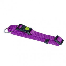 collier pour chien violet