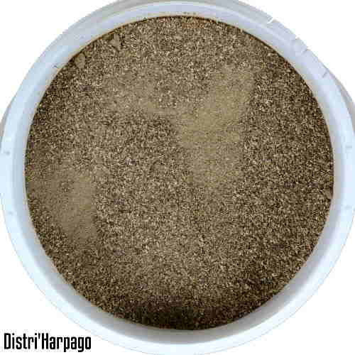 harpago arthrose cheval