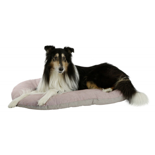 Coussin Golden pour Chien