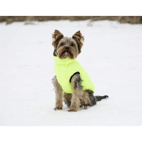 Manteau chaud pour chien