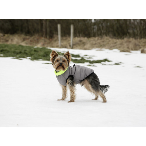 Manteau chaud pour chien
