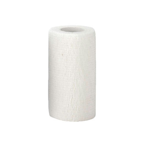 Bande Cohésive 10 cm - Bande pour coton - Blanche