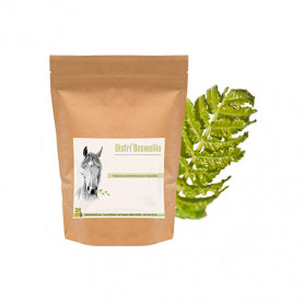 Distri'Boswellia - Arthrose du cheval