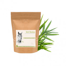 Bambou - Source de silicium