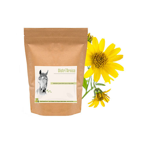 arnica en poudre naturelle