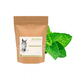 menthe poivrée pour chevaux
