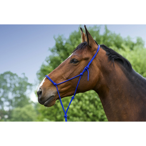 Licol Ethologique doux - Norton - Taille Poney