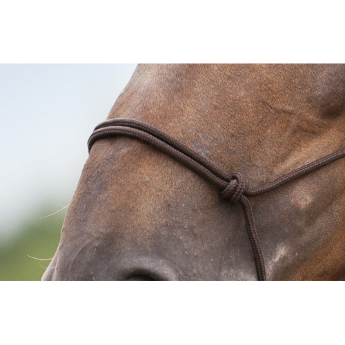 Licol Ethologique doux - Norton - Taille Cheval - Brun
