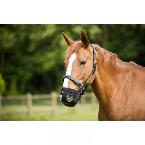 panier pour cheval trop gros