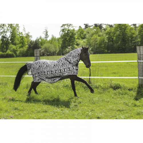 Chemise Filet Cheval - Riding World Combo