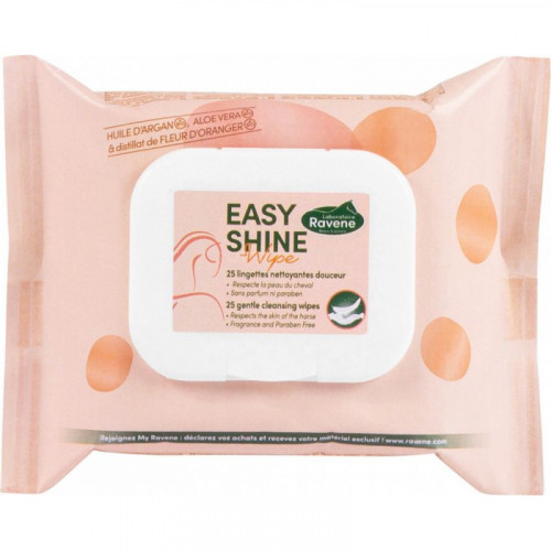 Easy Shine Wipe - Ravene