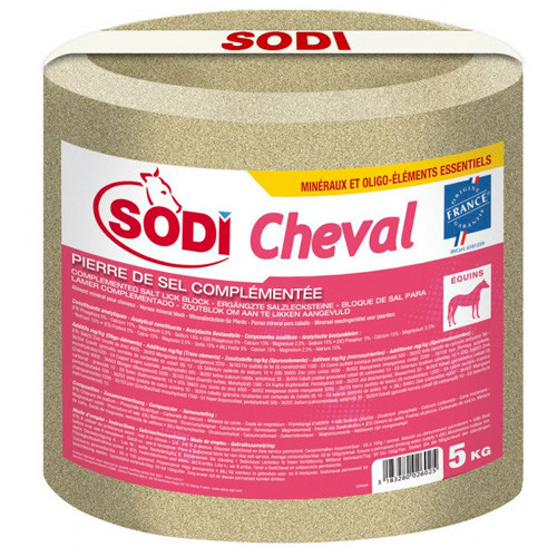 bloc à lécher cheval