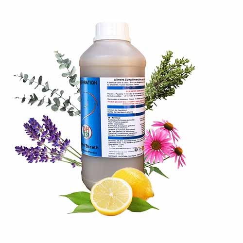 sirop pour la toux naturel cheval