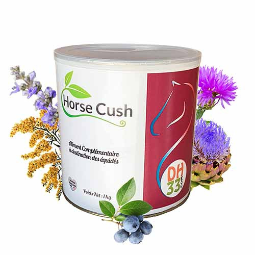 plantes cushing cheval