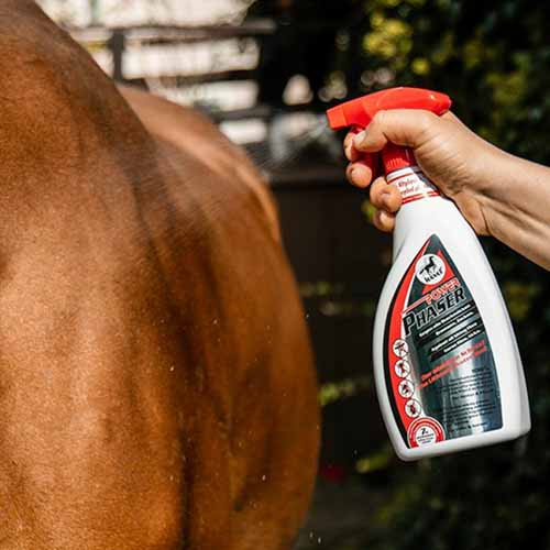 spray contre les taons