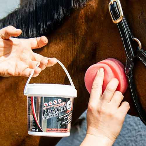 répulsif anti-taons pour chevaux