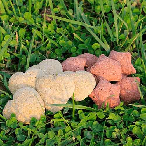 friandises pour chevaux