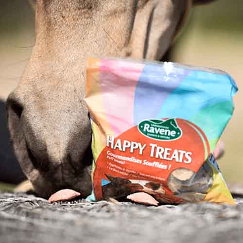 friandise ravene cheval