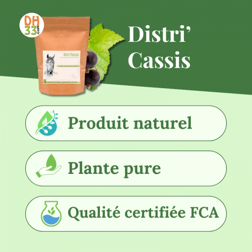 Cassis Cheval - Confort des Articulations