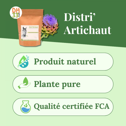 Artichaut Cheval - Drainant naturel
