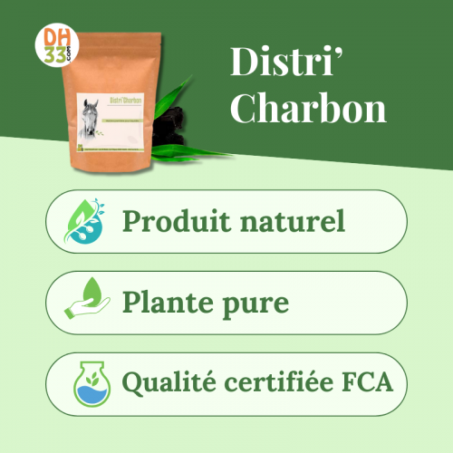 Charbon Végétal - Digestion cheval