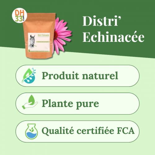 Echinacée Cheval - Accompagne les défenses immunitaires