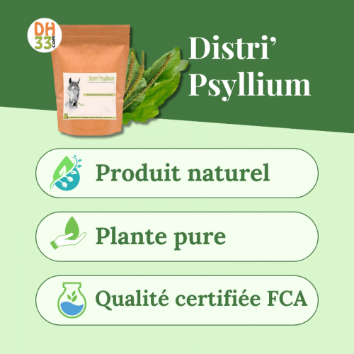 Psyllium cheval - Colique de sable