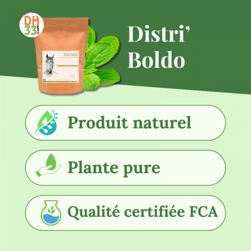 Boldo Cheval - Plante dépurative - DistriHorse33