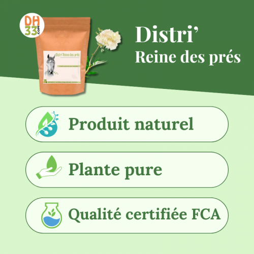 Reine des prés pour chevaux
