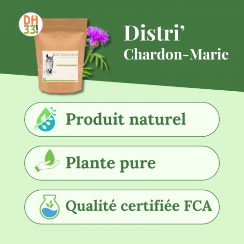 Chardon-Marie pour chevaux - DistriHorse33