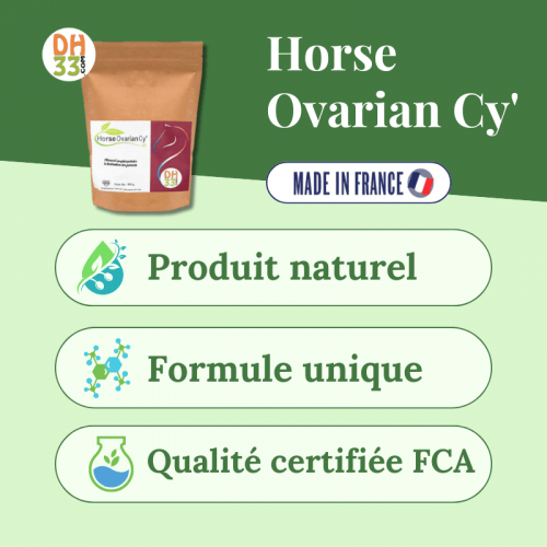 Horse Ovarian Cy' - Jument difficile au travail