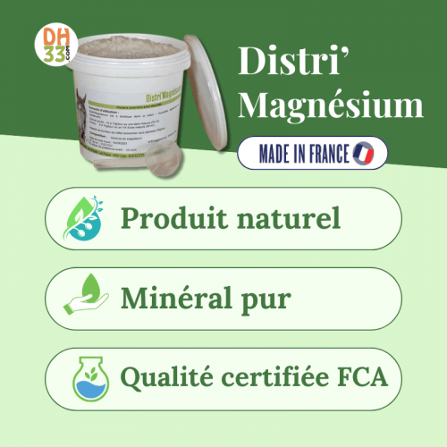 Magnésium cheval 🧘 : stress, verrues et récupération