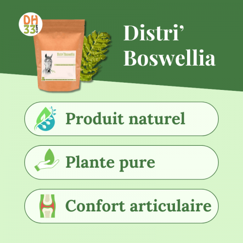 Distri'Boswellia - Arthrose du cheval - DistriHorse33