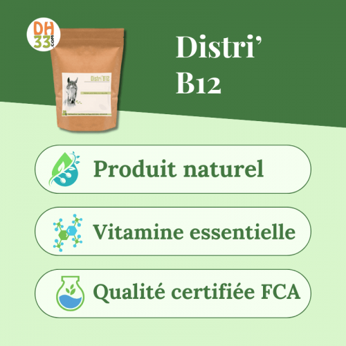Complément Source de vitamine B12 pour cheval - Distri'B12
